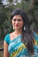 Shraddha Das Saree Pics